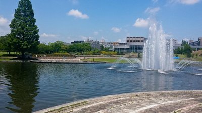 🌳 야마이치 사스테나파크 나나키타 공원